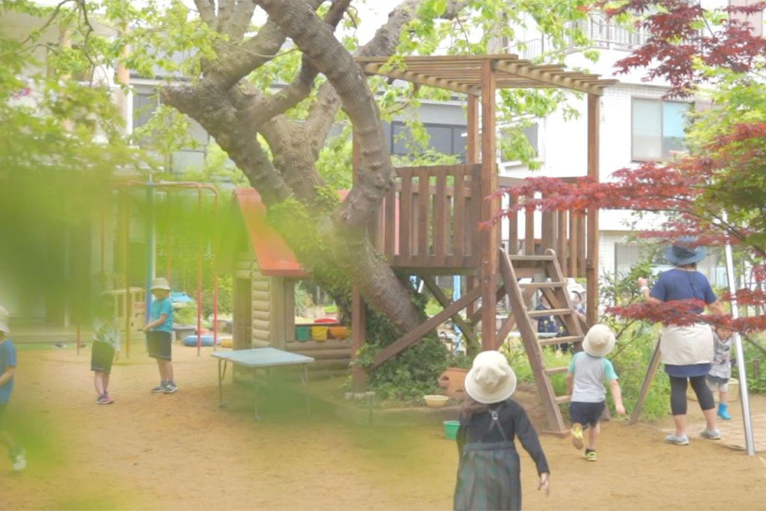 江戸川双葉幼稚園 Meetrii ミーツリー 江戸川双葉幼稚園 Meetrii ミーツリー