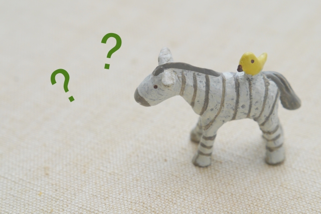 公立幼稚園と私立幼稚園 働く上でなにがちがうの Meetrii ミーツリー